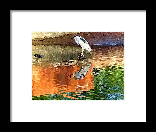 Bird Framed Print featuring the photograph Reflection of a Bird by Kathy Tarochione