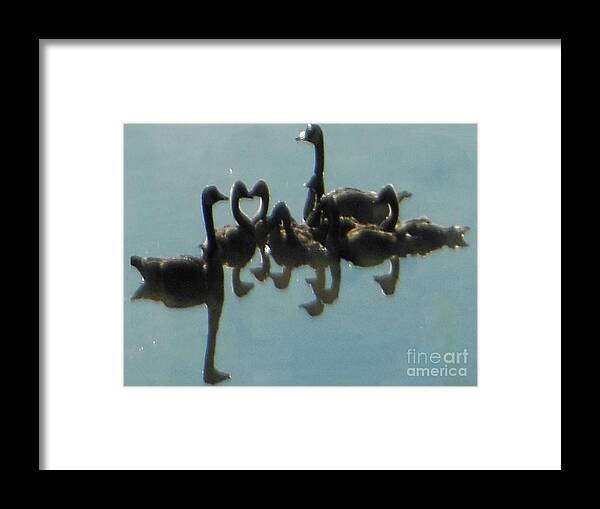 Reflection Of Geese Framed Print featuring the photograph Reflection of Geese by Rockin Docks Deluxephotos