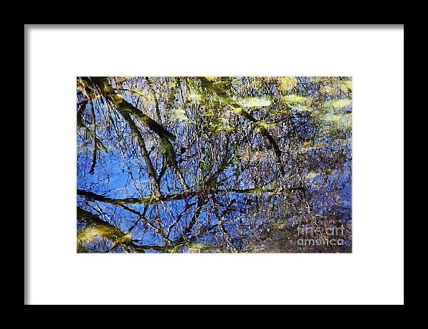 Reflections Framed Print featuring the photograph Reflections in a Pond by David Frederick