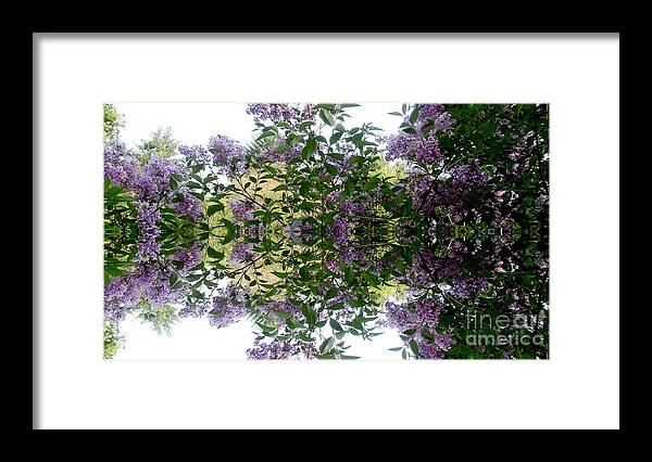 Lilac Framed Print featuring the photograph Reflections In Spring by Eunice Miller