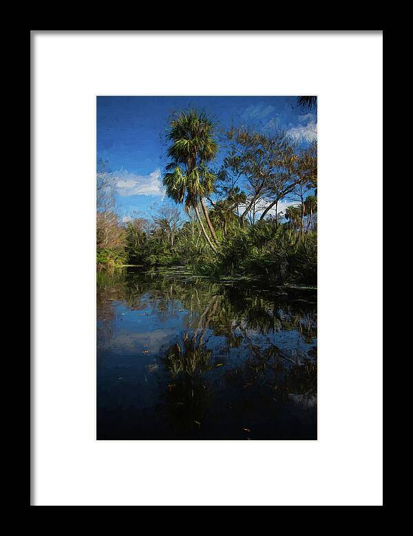Clouds Framed Print featuring the photograph Reflections in the Tropics Oil Painting by Debra and Dave Vanderlaan