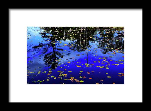 Nature Framed Print featuring the photograph Reflections by Lyle Crump