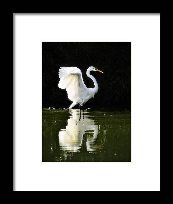 Great White Egret Framed Print featuring the photograph Reflections of an Angel by Saija Lehtonen