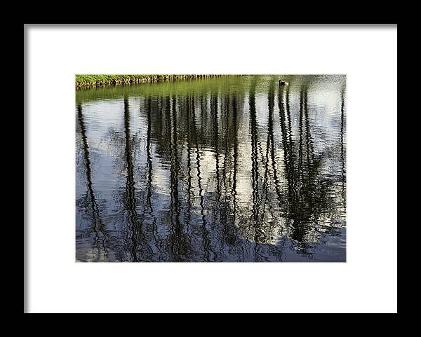Sky Framed Print featuring the photograph Reflections of Clouds and Trees by Roberta Kayne