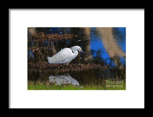 Snowy Framed Print featuring the photograph Reflections Of by Craig Corwin