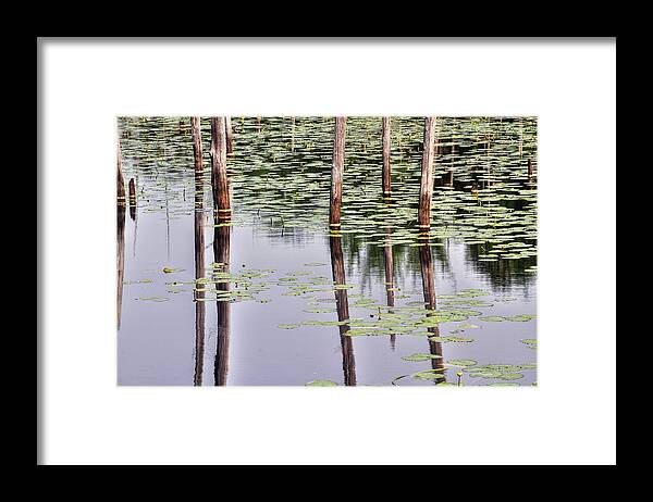 Franklin Parker Preserve Framed Print featuring the photograph Reflections of Franklin Parker by Dawn J Benko