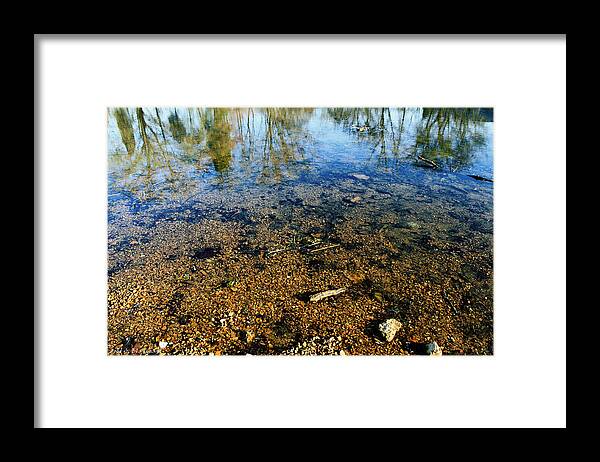 Landscape Framed Print featuring the photograph Reflections of Nature by Todd Blanchard