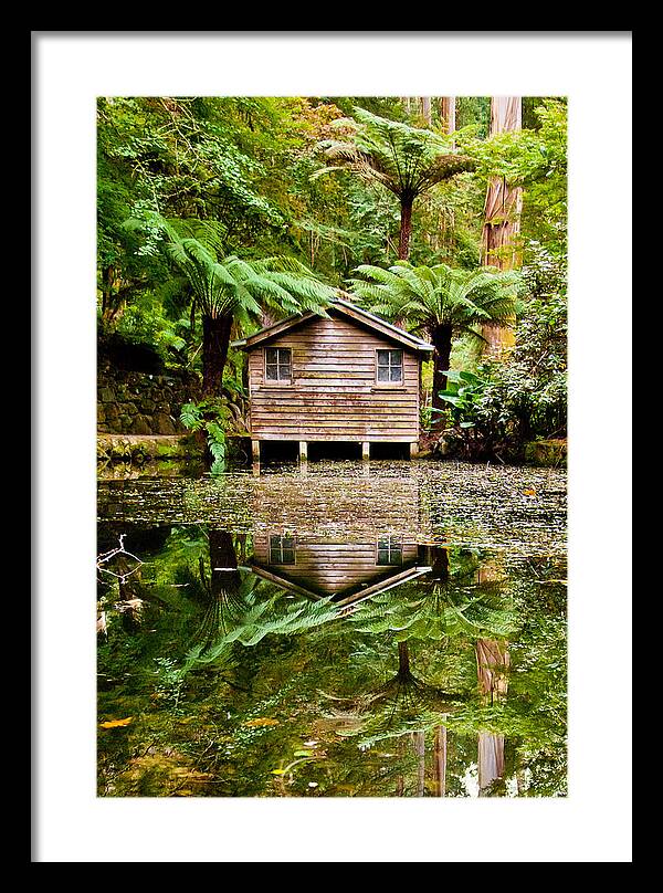 Dandenong Forest Framed Print featuring the photograph Reflections On The Pond by Az Jackson