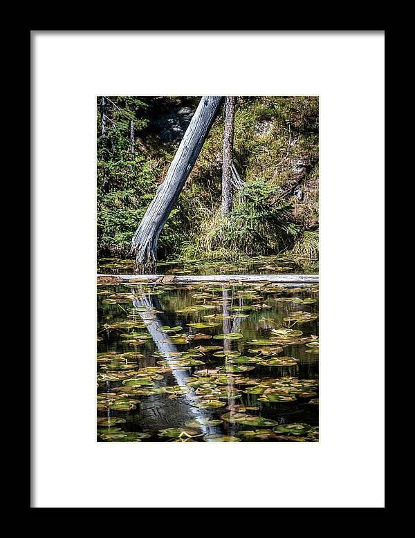 Autumn Framed Print featuring the photograph Reflections by Paul Freidlund