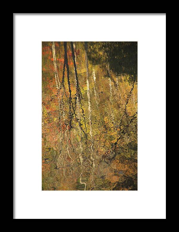 Reflections Framed Print featuring the photograph Reflections Reveal The Season by Mike Eingle