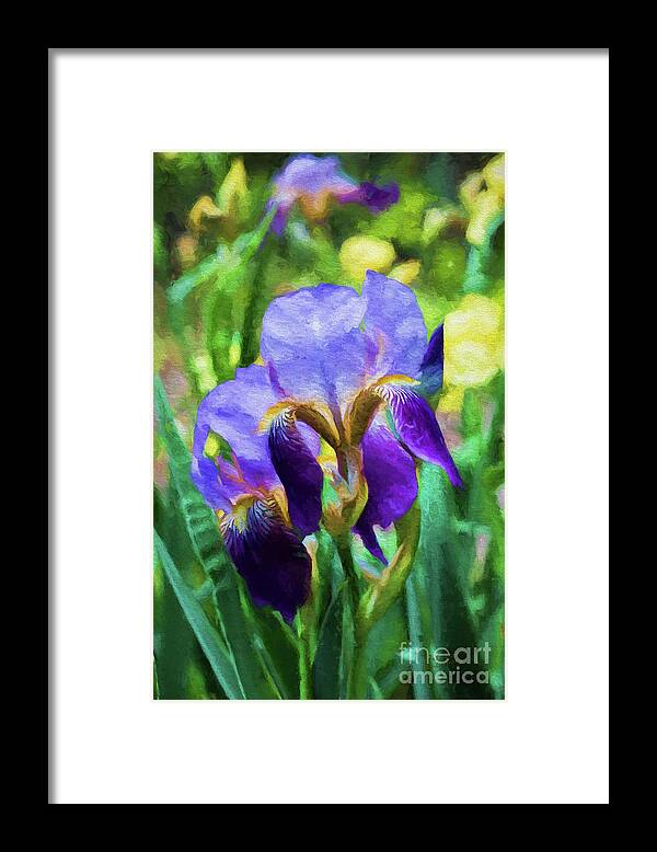 Iris Framed Print featuring the photograph Regal by Patricia Montgomery