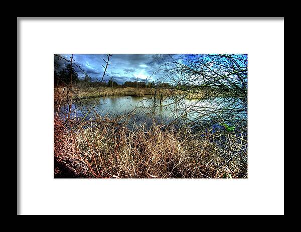 Nature Framed Print featuring the photograph Reifel In Winter 1 by Lawrence Christopher