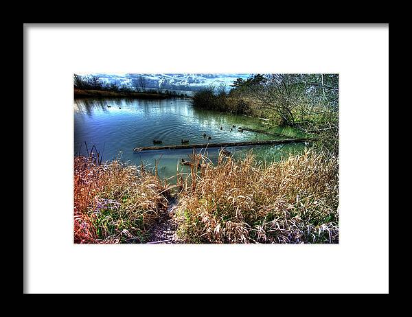 Nature Framed Print featuring the photograph Reifel In Winter 2 by Lawrence Christopher
