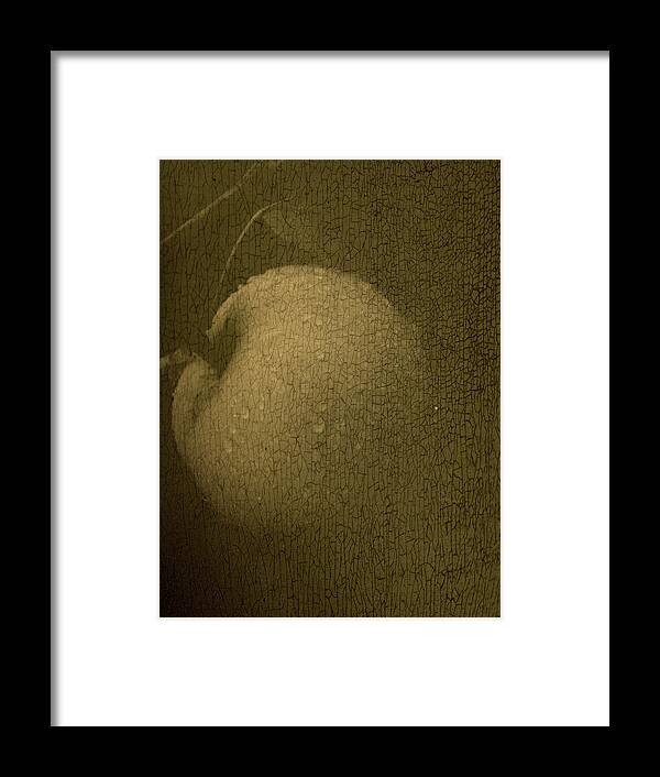 Texture Framed Print featuring the photograph Rembrandts Fruit by Tingy Wende