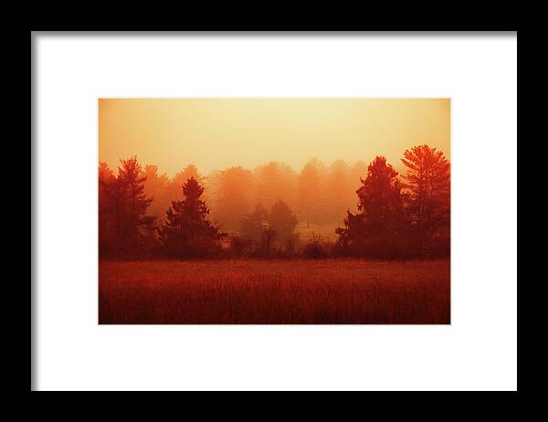 Nature Framed Print featuring the photograph Reminiscence by Iryna Goodall