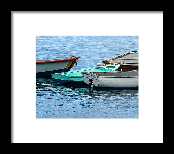 Catalina Framed Print featuring the photograph Republic of Catalina by Pamela Newcomb