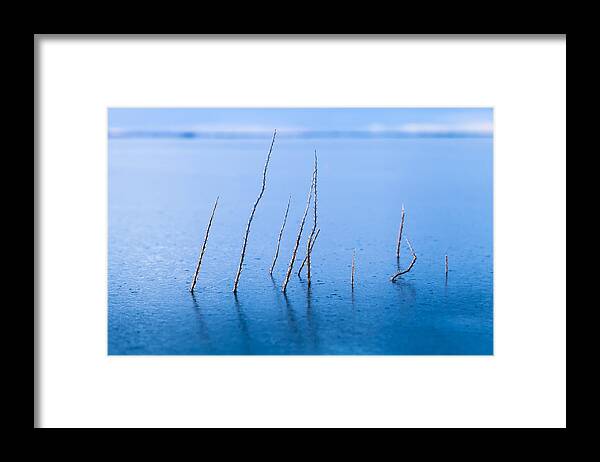 Alaska Framed Print featuring the photograph Resilient by Scott Slone