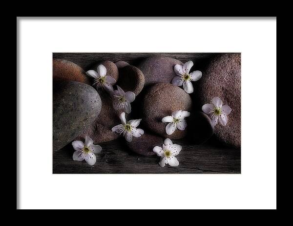 Spring Framed Print featuring the photograph Return To Me by Mike Eingle