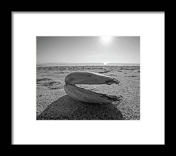 Revere Framed Print featuring the photograph Revere Beach Clam Shell Side Revere MA Black and White by Toby McGuire