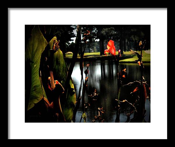Nature Framed Print featuring the photograph Reverie in Color by Gerlinde Keating - Galleria GK Keating Associates Inc