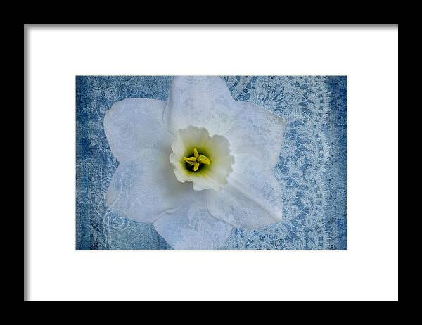 White Daffodil Flower Framed Print featuring the photograph Sapphire Lace by Marina Kojukhova