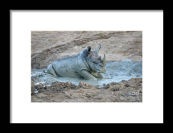 Wildlife Framed Print featuring the photograph Rhino in the Mud by Jennifer Ludlum
