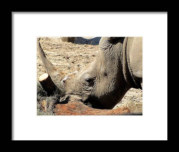 Rhinoceros Framed Print featuring the photograph Rhinoceros by Christopher Mercer