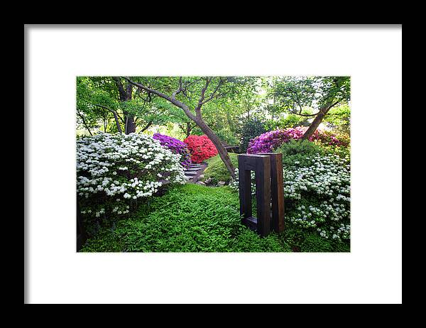 Jenny Rainbow Fine Art Photography Framed Print featuring the photograph Rhododendrons Blooms in Japanese Garden 17. Prague by Jenny Rainbow