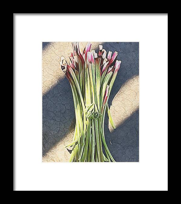 Still Life Framed Print featuring the photograph Rhubarb by Michele Meehl