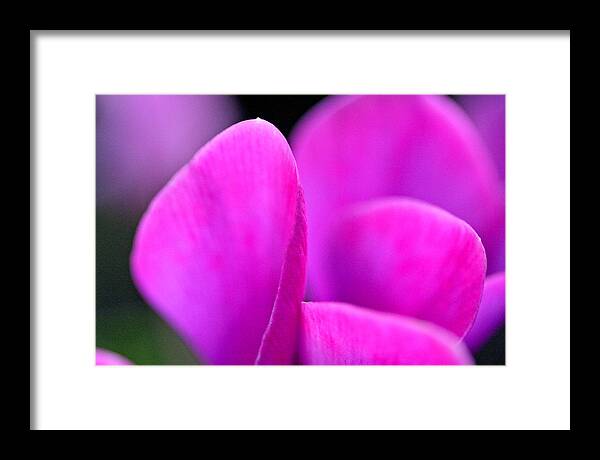 Macro Framed Print featuring the photograph Rhythm by Don Ziegler