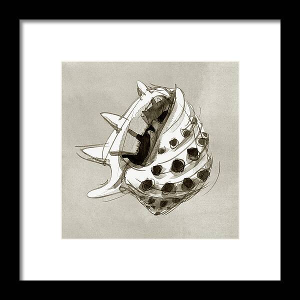 Seashell Framed Print featuring the painting Ricinus Drupe - Front by Judith Kunzle