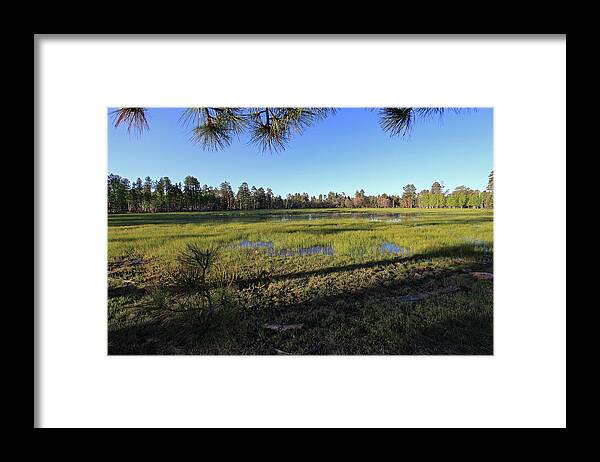 Landscape Framed Print featuring the photograph Rim Glade by Gary Kaylor