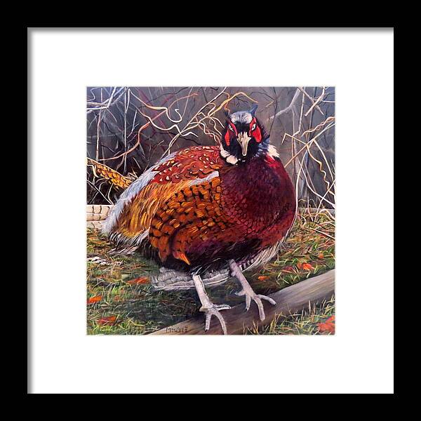 Bird Framed Print featuring the painting Ring Neck Pheasant by Marilyn McNish