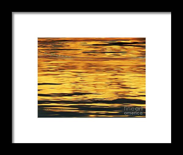 Pond Framed Print featuring the photograph Ring Of Gold Sun Reflection by Jan Gelders