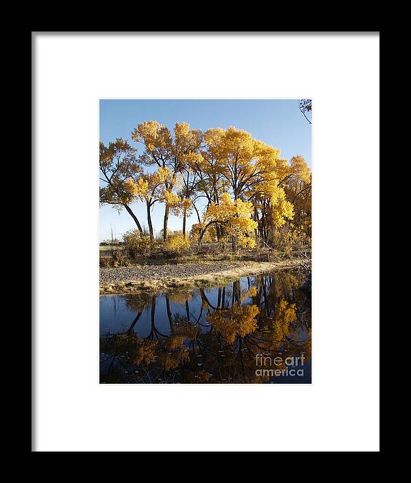 Rio Grande River Framed Print featuring the photograph Rio Grande Reflections by Bill Hyde