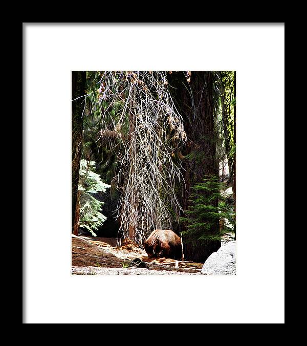 Ca Framed Print featuring the photograph Ripping Logs by Lana Trussell