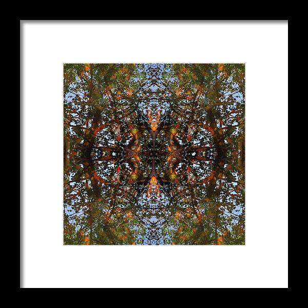 Water Framed Print featuring the digital art Ripple and Leaf by Laura Davis