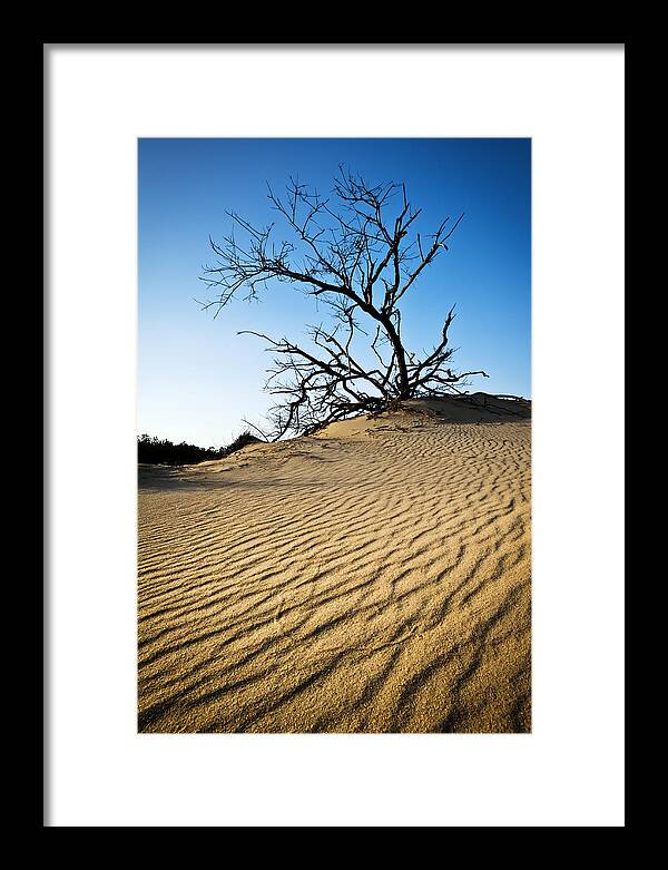 Outer Banks Framed Print featuring the photograph Rippled Sand Dunes Outer Banks NC - Weathered by Dave Allen