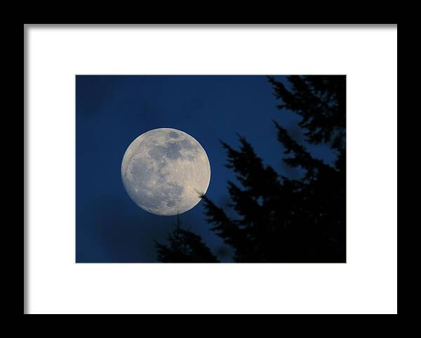 Full Moon Framed Print featuring the photograph Rising High and Almost Full by Laddie Halupa