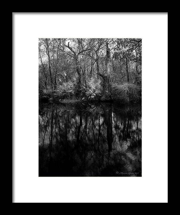 Booker Creek Framed Print featuring the photograph River Bank Palmetto by Marvin Spates