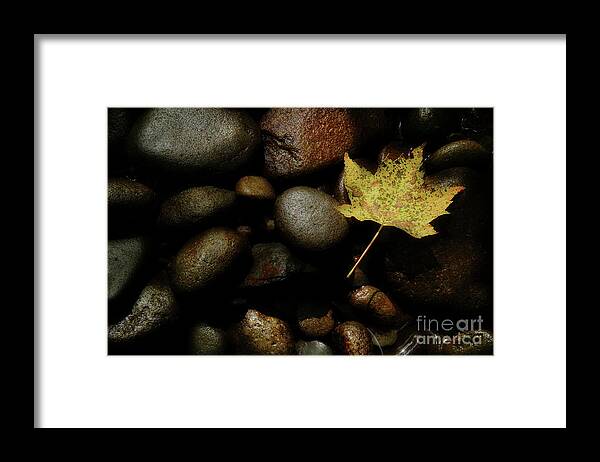 River Rock Framed Print featuring the photograph River Bottom by Michael Eingle