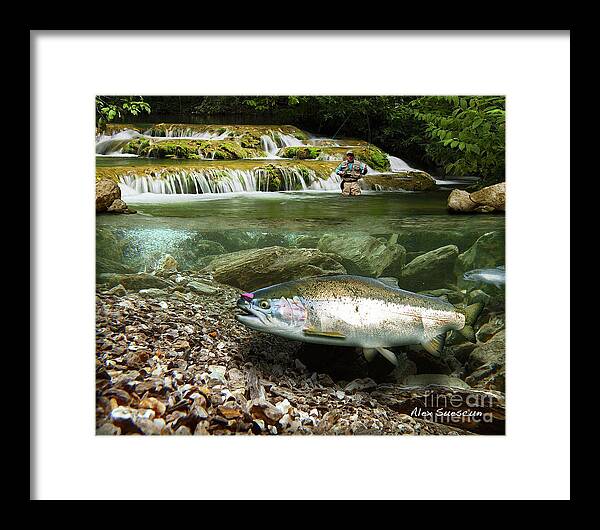 Trout Framed Print featuring the painting River Chrome by Alex Suescun
