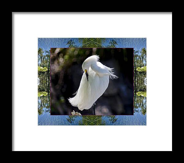 Nature Photos Framed Print featuring the photograph River Egret by Bell And Todd