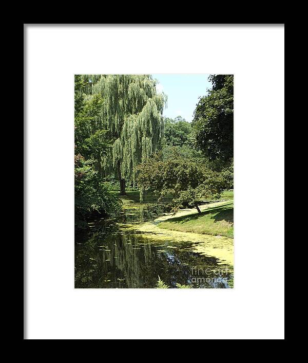 Dow Gardens Framed Print featuring the photograph River flows Through by Erick Schmidt