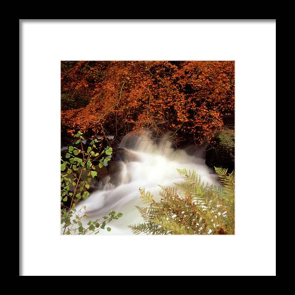 Autumn Framed Print featuring the photograph River Lyn, Exmoor, Devon by Maggie Mccall