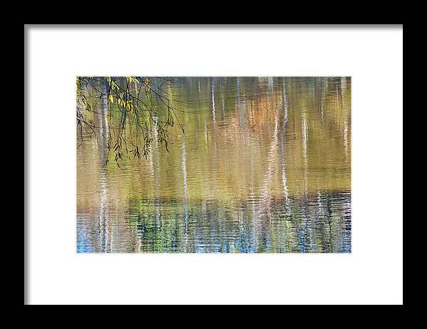 River Framed Print featuring the photograph River Mystique by Jan Gelders