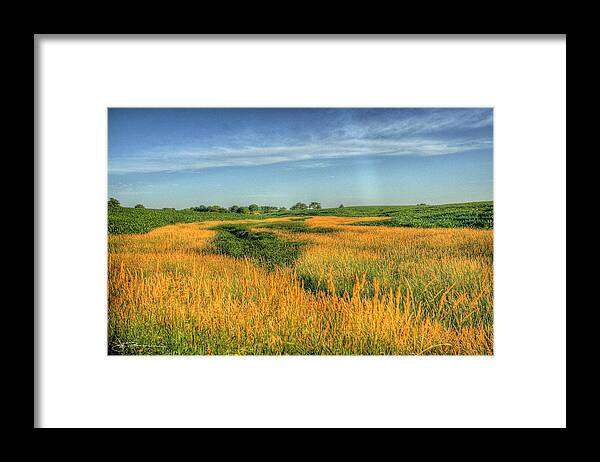 Farm Framed Print featuring the photograph River of Grass by Jim Bunstock