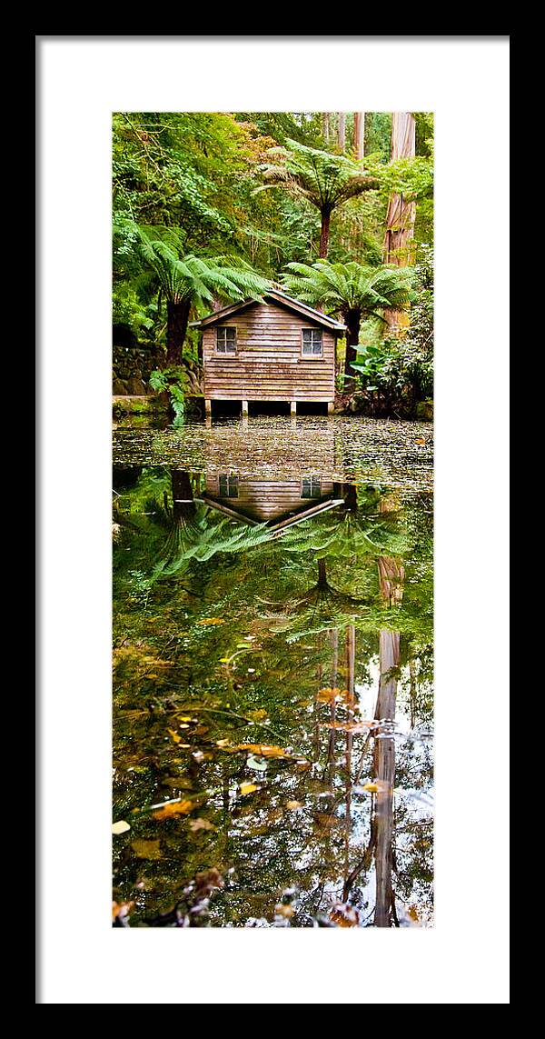 Dandenong Forest Framed Print featuring the photograph River Reflections by Az Jackson