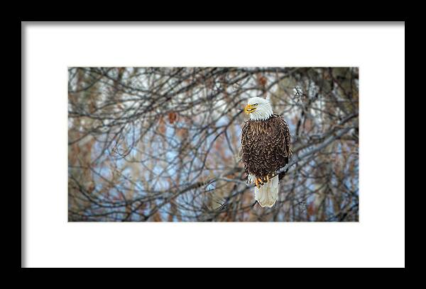 Yampa River Framed Print featuring the photograph River Watcher by Kevin Dietrich