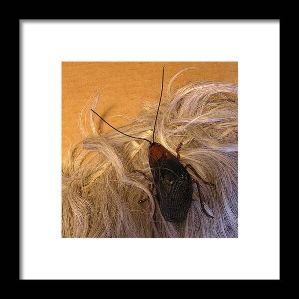 Jewelry Framed Print featuring the sculpture Roach Hair Clip by Roger Swezey